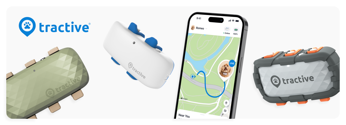 Tractive GPS Tracker for Dogs 2つ Tractive Dog GPS Tracker, Waterproof Location and Activity